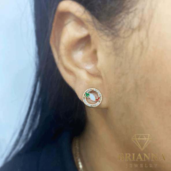 14k Gold Country Map (Mexico) Earrings – – Brianna Jewelry joya brianna jewelry